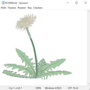 Растения и цветы 29030