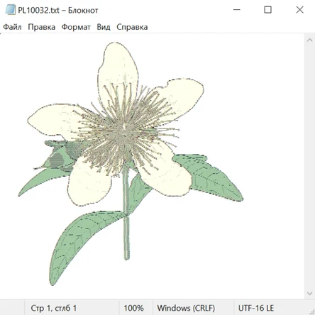 Растения и цветы 29003